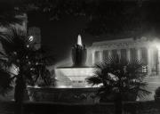 palma (Positivo) di Foto Edizioni Ghedina (1950/01/01 - 1969/12/31)