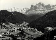 bosco (Positivo) di Foto Edizioni Ghedina (1950/01/01 - 1979/12/31)