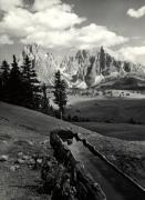 Viehtränke auf Alm/Wiese (Positivo) di Foto Edizioni Ghedina (1950/01/01 - 1969/12/31)