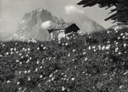 baita (Positivo) di Foto Edizioni Ghedina (1950/01/01 - 1969/12/31)
