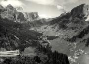 bosco (Positivo) di Foto Edizioni Ghedina (1950/01/01 - 1979/12/31)