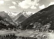 bosco (Positivo) di Foto Edizioni Ghedina (1950/01/01 - 1979/12/31)