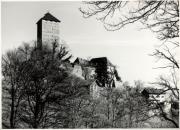 Schloss Tirol (Positivo) di Foto Sandro Saltuari, Bozen (1950/01/01 - 1969/12/31)