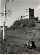 bosco (Positivo) di Foto Sandro Saltuari, Bozen (1950/01/01 - 1969/12/31)