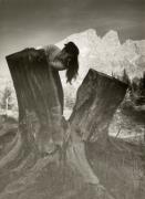 donna (Positivo) di Foto Wenzel Fischer, Garmisch (1950/01/01 - 1969/12/31)