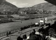 Wettkampf: Pferderennen (Positivo) di Foto Dr. Frass, Bozen (1950/01/01 - 1969/12/31)