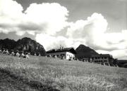 casa (Positivo) di Foto Ciganovic-Anthony (1950/01/01 - 1969/12/31)