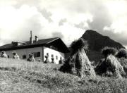casa (Positivo) di Foto Ciganovic-Anthony (1950/01/01 - 1969/12/31)