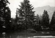 mediterrane Pflanze (Positivo) (1950/01/01 - 1969/12/31)