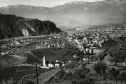 vigneto (Positivo) (1950/01/01 - 1969/12/31)