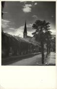 Baumbepflanzung in Siedlungen (Positivo) (1950/01/01 - 1969/12/31)