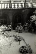 Motiv: Winter (Positivo) di Foto Pedrotti, Bozen (1950/01/01 - 1969/12/31)