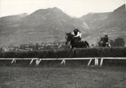 cavallo (Positivo) (1950/01/01 - 1969/12/31)