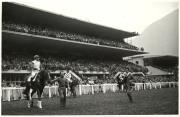 ippodromo (Positivo) di Foto Pedrotti, Bozen (1950/01/01 - 1969/12/31)