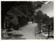 Spaziergänger (Positivo) (1950/01/01 - 1979/12/31)