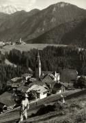 bosco (Positivo) di Foto Sandro Saltuari, Bozen (1950/01/01 - 1969/12/31)