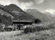 fattoria (Positivo) di Foto Löbl, Bad Tölz/Oberbayern (1950/01/01 - 1969/12/31)