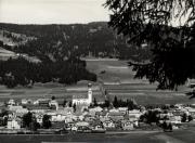 bosco (Positivo) di Foto Sandro Saltuari, Bozen (1950/01/01 - 1969/12/31)