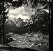 bosco (Positivo) (1950/01/01 - 1969/12/31)