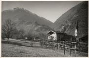 bosco (Positivo) di Foto A. Ambrosi, Meran (1930/01/01 - 1959/12/31)