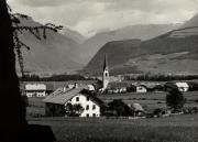 bosco (Positivo) (1950/01/01 - 1969/12/31)