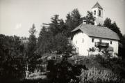 bosco (Positivo) (1950/01/01 - 1969/12/31)