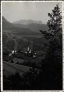 bosco (Positivo) (1950/01/01 - 1969/12/31)