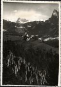 bosco (Positivo) (1950/01/01 - 1969/12/31)