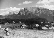 bosco (Positivo) (1950/01/01 - 1969/12/31)