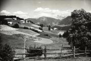 bosco (Positivo) (1950/01/01 - 1969/12/31)