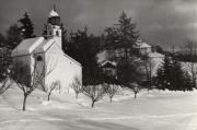 bosco (Positivo) (1950/01/01 - 1969/12/31)