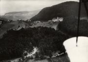 bosco (Positivo) (1950/01/01 - 1969/12/31)