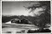 Lärche (Positivo) (1950/01/01 - 1969/12/31)