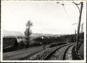 bosco (Positivo) (1950/01/01 - 1969/12/31)