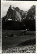 bosco (Positivo) (1950/01/01 - 1969/12/31)