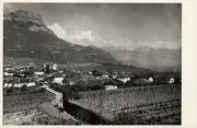 vitigno (Positivo) di Foto A. Ambrosi, Bozen (1930/01/01 - 1959/12/31)