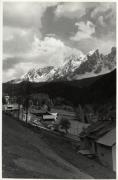 bosco (Positivo) di Foto E. Pedrotti, Bozen (1930/01/01 - 1959/12/31)