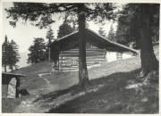 baita (Positivo) di Bährendt, Leo (1902/01/01 - 1939/12/31)