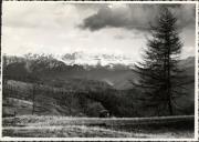 Lärche (Positivo) (1950/01/01 - 1969/12/31)