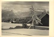 Wald/Bäume, Winter (Positivo) (1920/01/01 - 1939/12/31)