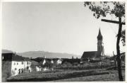 vigneto (Positivo) di Foto E. Pedrotti, Bozen (1950/01/01 - 1979/12/31)