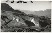 vigneto (Positivo) di Foto E. Pedrotti, Bozen (1950/01/01 - 1979/12/31)