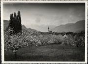 Motiv: Frühling (Positivo) (1950/01/01 - 1979/12/31)