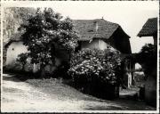 fattoria (Positivo) (1950/01/01 - 1969/12/31)