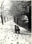 Motiv: Winter (Positivo) di Foto M. Rinaldini, Brixen (1930/01/01 - 1969/12/31)