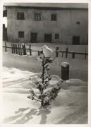 Fichte (Positivo) (1950/01/01 - 1969/12/31)