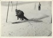Skifahrer (Positivo) di Foto Planinschek (1950/01/01 - 1969/12/31)