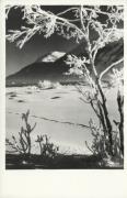 Motiv: Winter (Positivo) (1950/01/01 - 1969/12/31)