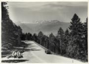strada (Positivo) di Bährendt, Leo (1902/01/01 - 1939/12/31)