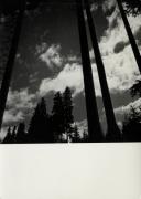 Nadelwald (Positivo) (1950/01/01 - 1969/12/31)